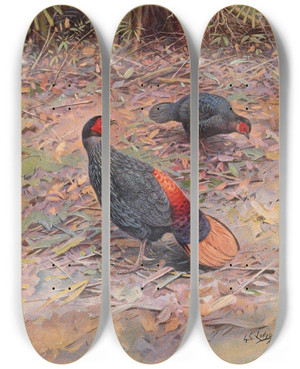 Triptych art skateboard deck of George Edward Lodge Bornean Crestless Fireback by George Edward Lodge (1860-1954)
