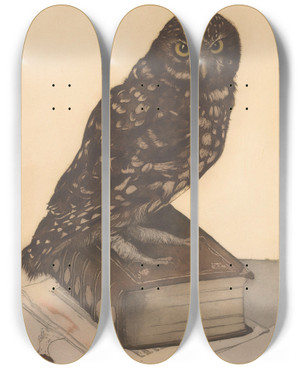 Triptych art skateboard deck of Frans Everbag Uil Zittend Op Een Boek by Frans Everbag (1877-1947)