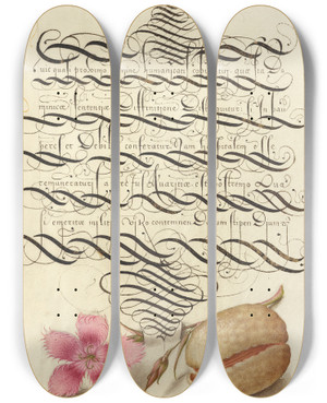 Triptych art skateboard deck of Joris Hoefnagel Dianthus And Almond by Joris Hoefnagel (1542-1600)