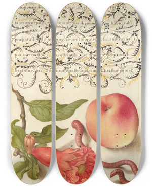 Triptych art skateboard deck of Joris Hoefnagel Pomegranate Worm And Peach by Joris Hoefnagel (1542-1600)