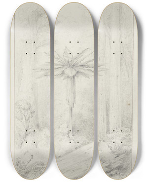 Triptych art skateboard deck of William Swainson Soft Leaved Tree Fern Upper Hutt by William Swainson (1789-1855)