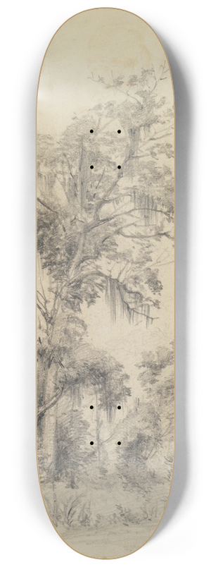 Ferdinand Keller - Baum mit herabhngenden Pflanzenfasern 8.25 inch art skate deck
