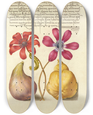 Triptych art skateboard deck of Joris Hoefnagel Poppy Anemones Caterpillar Fig And Quince by Joris Hoefnagel (1542-1600)