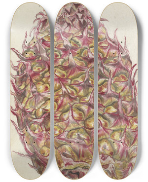 Triptych art skateboard deck of Jan Brandes Ananas_1 by Jan Brandes (1743-1808)
