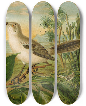 Triptych art skateboard deck of Christian Anton Goering Die Nordamerikanische Vogelwelt Pl04 by Christian Anton Goering (1836-1905)