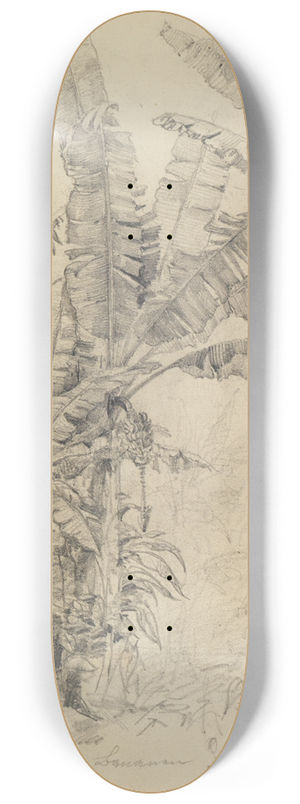 Ferdinand Keller - Im Urwald- Palmengewchse 8.25 inch art skate deck