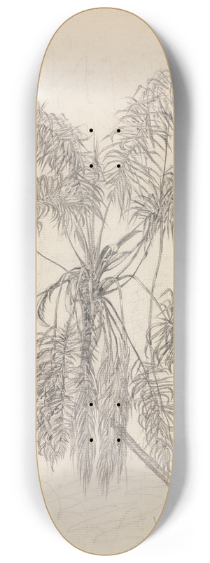 Ferdinand Keller - Palmenstudie 8.25 inch art skate deck