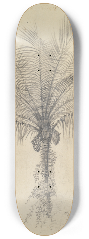 Ferdinand Keller - Palmstudie II 8.25 inch art skate deck