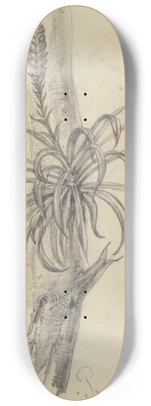 Ferdinand Keller - Pflanzenstudie am Ast II 8.25 inch art skate deck