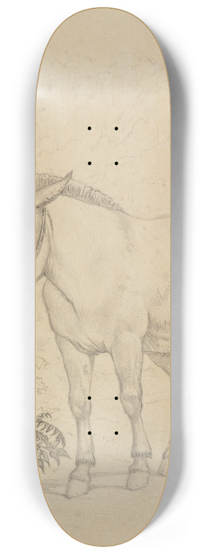 Ferdinand Keller - Studie der alte Macho, von vorne, leicht seitlich 8.25 inch art skate deck