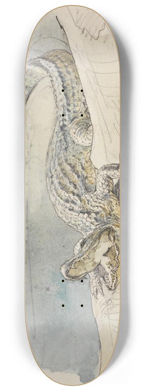 Ferdinand Keller - Studie eines Alligators 8.25 inch art skate deck