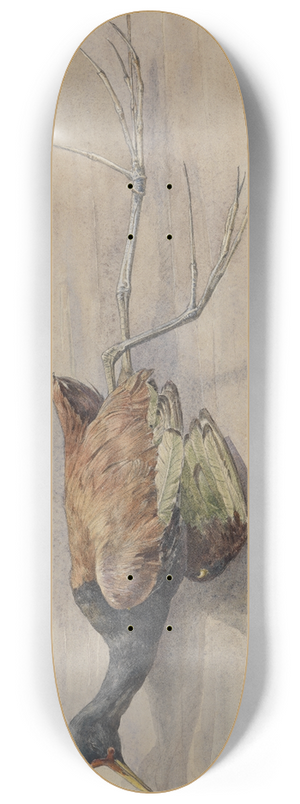 Ferdinand Keller - Studie eines toten Spornflglers 8.25 inch art skate deck