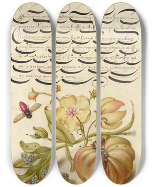Triptych art skateboard deck of Joris Hoefnagel Insect Moth Mullein Forgetmenot And Tomato by Joris Hoefnagel (1542-1600)