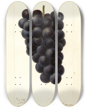 Triptych art skateboard deck of Deborah Griscom Passmore Vitis Mcpike by Deborah Griscom Passmore (1840-1911)