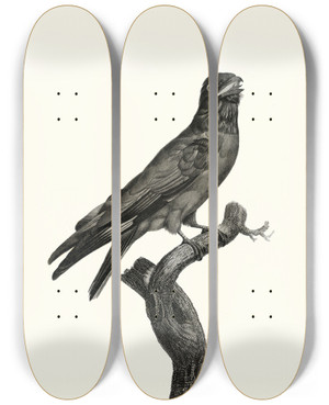 Triptych art skateboard deck of Jacques Barraband Le Rolle Gorge Bleu by Jacques Barraband (1767-1809)