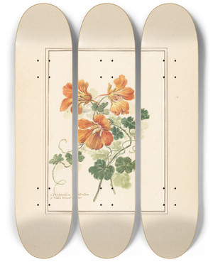 Triptych art skateboard deck of Pieter Van Loo Takken Van Een Tropaeolum En Een Viooltje by Pieter Van Loo (1731-1784)