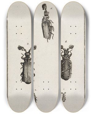 Triptych art skateboard deck of Johann Caspar Fuessli Archives De Lhistoire Des Insectes Pl13 by Johann Caspar Fuessli (1743-1786)