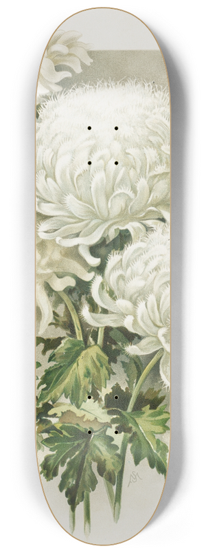 Ferdinand Schuyler Mathews - Chrysanthemums 8.25 inch art skate deck