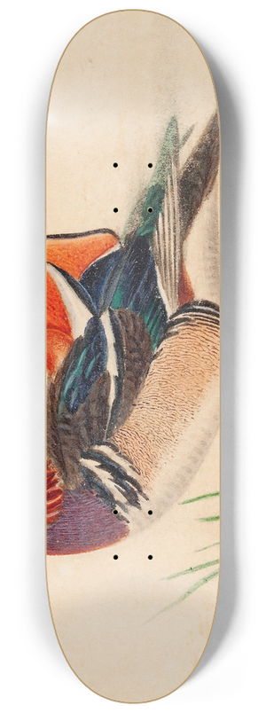 Ferdinand von Wright - Mandarin Duck 8.25 inch art skate deck