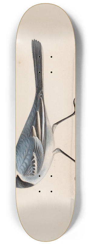 Ferdinand von Wright - White Wagtail 8.25 inch art skate deck Ferdinand von Wright - White Wagtail 8.25 inch art skate deck