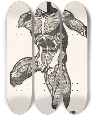 Triptych art skateboard deck of Reijer Stolk Anatomische Studie Van De Nek Buik En Bovenbeenspieren Van Een Man by Reijer Stolk (1896-1945)