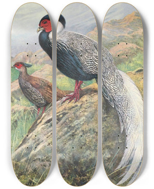 Triptych art skateboard deck of George Edward Lodge Rippons Hybrid Silver Kaleege by George Edward Lodge (1860-1954)
