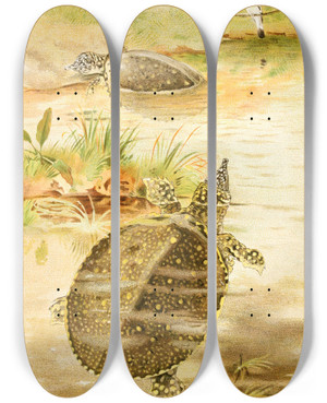 Triptych art skateboard deck of Pierre Jacques Smit Soft River Tortoises by Pierre Jacques Smit (1863-1960)