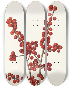 Triptych art skateboard deck of Mary Vaux Walcott Winterberry Ilex Verticillata by Mary Vaux Walcott (1860-1940)