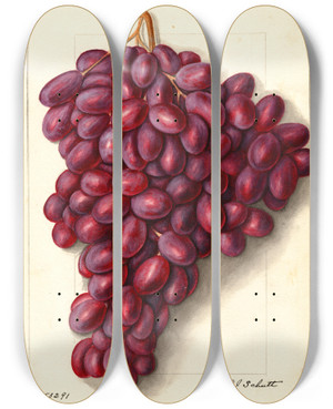 Triptych art skateboard deck of Ellen Isham Schutt Vitis Ajun by Ellen Isham Schutt (1873-1955)