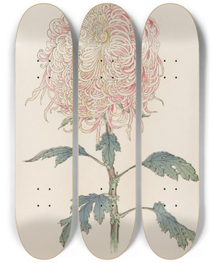 Triptych art skateboard deck of Keika Hasegawa Keika Hyakugiku Pl22 by Keika Hasegawa (1892-1905)