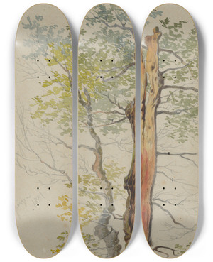 Triptych art skateboard deck of Friedrich Carl Von Scheidlin Study Of Old And Young Tree by Friedrich Carl Von Scheidlin (1822-1913)