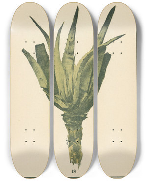 Triptych art skateboard deck of Sebastian Kneipp Plantatlas To My Watercure Pl34 by Sebastian Kneipp (1821-1897)