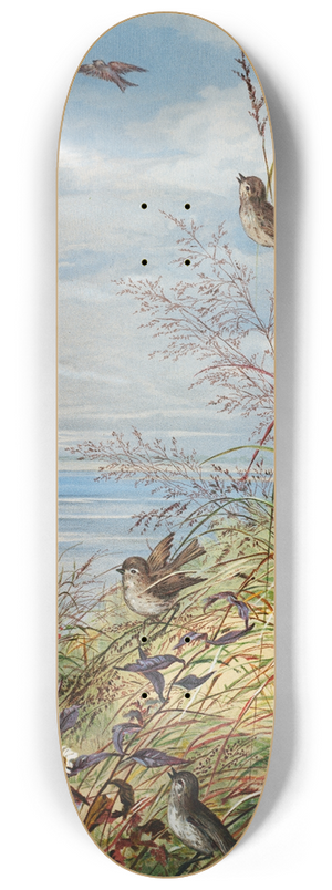 Fidelia Bridges - February 8.25 inch art skate deck