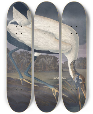 Triptych art skateboard deck of John James Audubon Wood Ibis by John James Audubon (1785-1851)