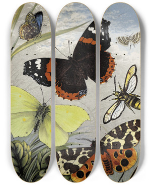 Triptych art skateboard deck of William Houghton Lepidoptera by William Houghton (1828-1895)