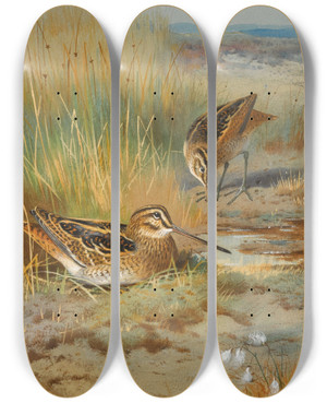 Triptych art skateboard deck of Archibald Thorburn A Pair Of Snipe Gallinago Gallinago by Archibald Thorburn (1860-1935)