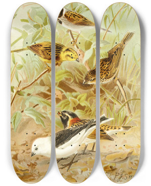 Triptych art skateboard deck of Pierre Jacques Smit Buntings by Pierre Jacques Smit (1863-1960)