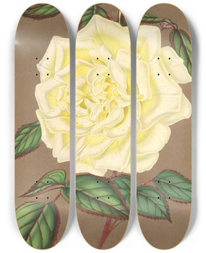 Triptych art skateboard deck of Charles Antoine Lemaire Rose Th Isabelle Sprunt by Charles Antoine Lemaire (1800-1871)