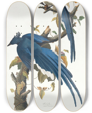 Triptych art skateboard deck of John James Audubon Columbia Jay by John James Audubon (1785-1851)