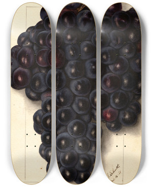 Triptych art skateboard deck of Ellen Isham Schutt Vitis Key by Ellen Isham Schutt (1873-1955)