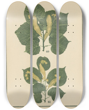 Triptych art skateboard deck of Sebastian Kneipp Plantatlas To My Watercure Pl17 by Sebastian Kneipp (1821-1897)