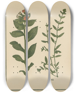 Triptych art skateboard deck of Sebastian Kneipp Plantatlas To My Watercure Pl19 by Sebastian Kneipp (1821-1897)