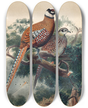 Triptych art skateboard deck of Joseph Wolf Reeves Pheasant_1 by Joseph Wolf (1820-1899)