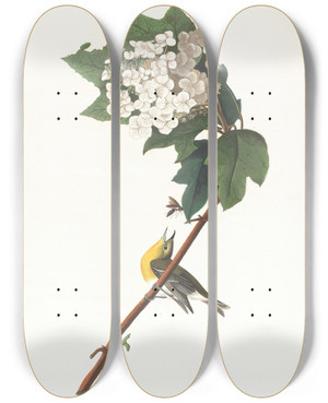 Triptych art skateboard deck of John James Audubon Yellowthroated Vireo by John James Audubon (1785-1851)