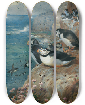 Triptych art skateboard deck of Archibald Thorburn Puffins And Razor Bills by Archibald Thorburn (1860-1935)