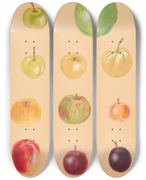 Triptych art skateboard deck of Nikolai Ivanovich Vavilov The Wild Apples Of Middle Asia 2 by Nikolai Ivanovich Vavilov (1887-1943)