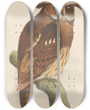 Triptych art skateboard deck of Theo Van Hoytema Owl On A Branch Bubo Lettii by Theo Van Hoytema (1863-1917)