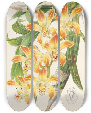 Triptych art skateboard deck of Charles Antoine Lemaire Chysis Lvis by Charles Antoine Lemaire (1800-1871)
