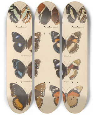 Triptych art skateboard deck of Otto Staudinger Exotische Schmetterlinge Pl046 by Otto Staudinger (1830-1900)