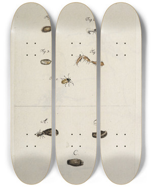 Triptych art skateboard deck of Johann Caspar Fuessli Archives De Lhistoire Des Insectes Pl33 by Johann Caspar Fuessli (1743-1786)